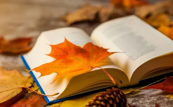 Про лексику