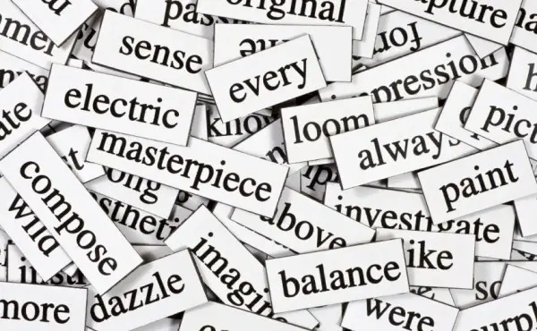 Слова сегодня: неологизмы в языке