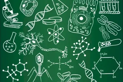 depositphotos_9779845-stock-illustration-biology-sketches-on-school-board